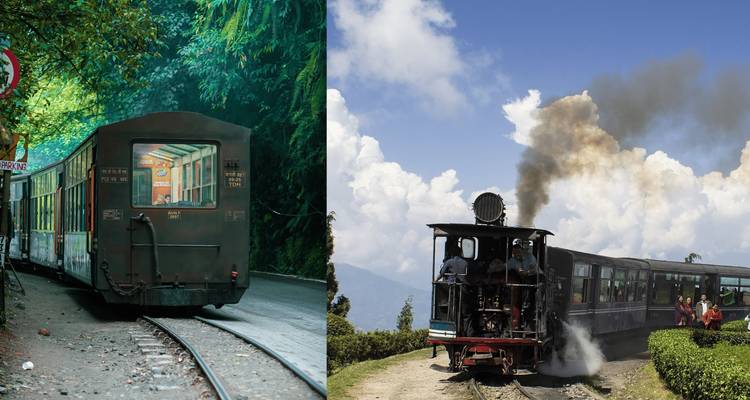 Imagen dividida del histórico tren de vapor del Ferrocarril del Himalaya de Darjeeling viajando a través de un frondoso bosque y una campiña abierta.