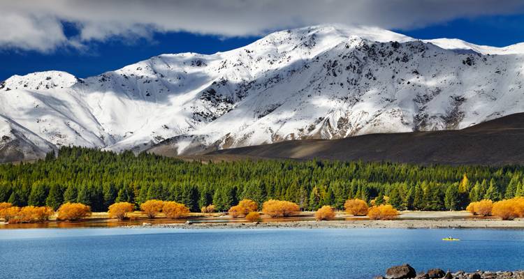 Les Alpes du Sud enneigées s'élevant au-dessus de la forêt sombre et du lac Tekapo bleu, avec des arbres d'automne bordant le rivage.