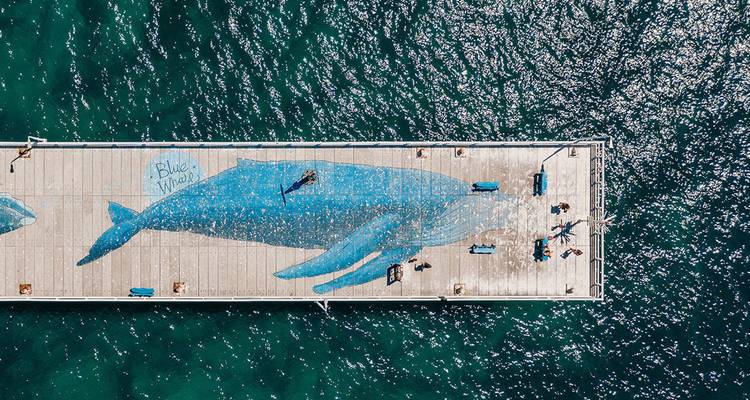 Ein mit einem riesigen Blauwalbild bemalter Pier erstreckt sich über tiefgrünes Seewasser, während Besucher entlang gehen.