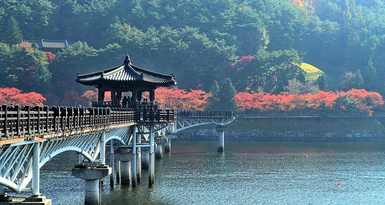 Traditioneller koreanischer Pavillon auf einer langen Holzbrücke über einen ruhigen See, umrahmt von Herbstlaub