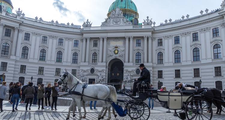 Horse-drawn carriage passes in front of Vienna’s ornate Hofburg Palace courtyard crowded with tourists.