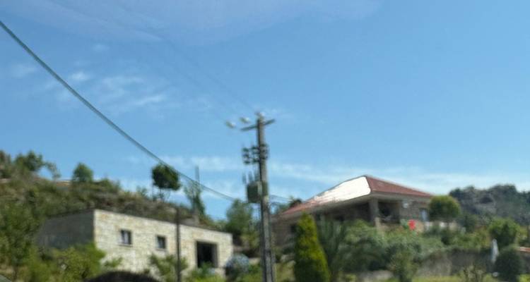 Vue floue du bord de la route montrant des maisons rurales et des poteaux de service électrique pris depuis un véhicule en mouvement.