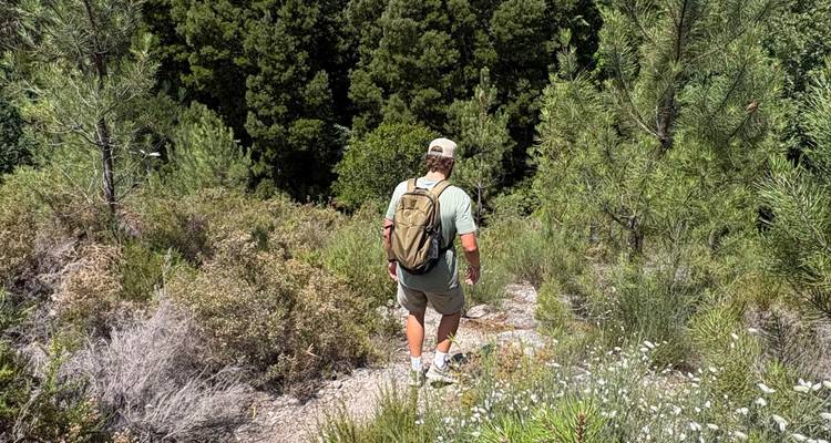 Randonneur avec sac à dos marchant sur un sentier étroit dans un maquis méditerranéen dense.