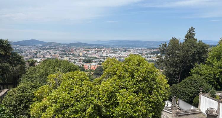 Vue panoramique de la ville depuis une colline avec des arbres feuillu au premier plan et des montagnes lointaines.