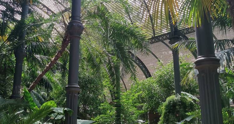 Eisengerahmtes Wintergartenzimmer voller üppiger Palmen und tropischer Grünpflanzen.