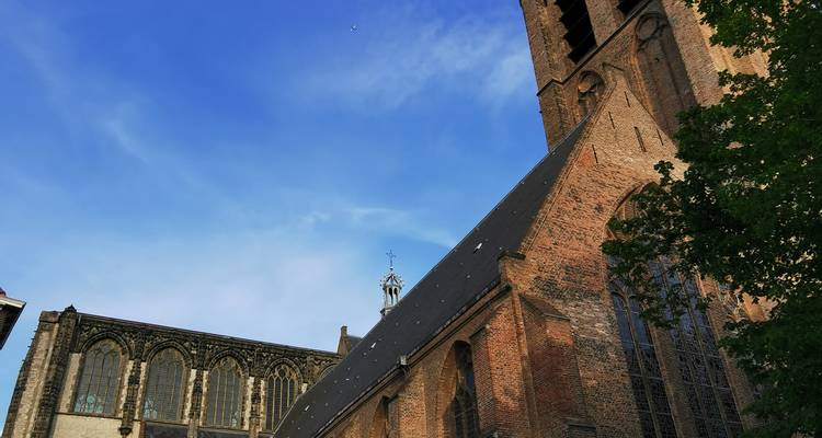 Brick church tower reaching into a clear blue sky with leafy tree framing the right
