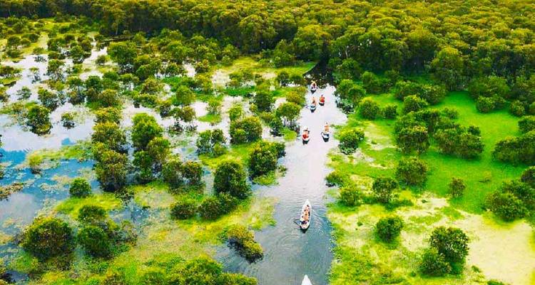 Luftaufnahme von Booten, die durch überflutete Waldwasserstraßen paddeln, die von üppiger Vegetation umgeben sind
