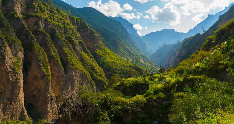 Üppig grüne Hänge fallen in das neblige Tal des Colca Canyon ab