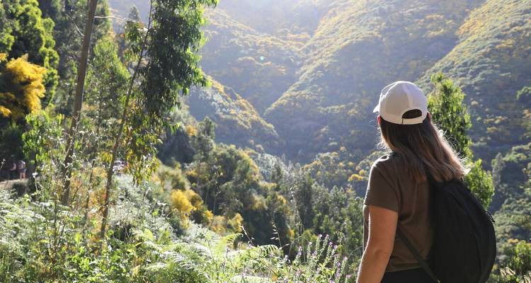 Hiker with backpack looks toward sunlit, flower-covered hillsides in a verdant valley.