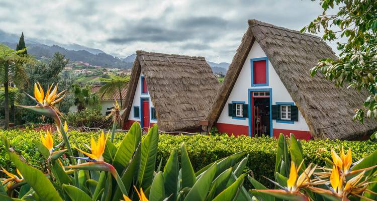 Traditional triangular thatched Santana houses framed by bird-of-paradise flowers and mountains.