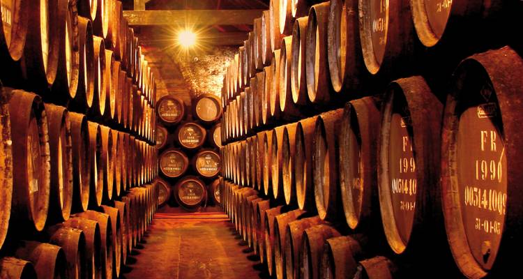 Couloir faiblement éclairé bordé de rangées de tonneaux en chêne vieillissant le vin de Porto dans une cave historique.