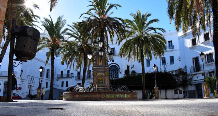Vue en contre-plongée d'une fontaine carrelée ornementale entourée de palmiers dans une place de village blanc éclatant