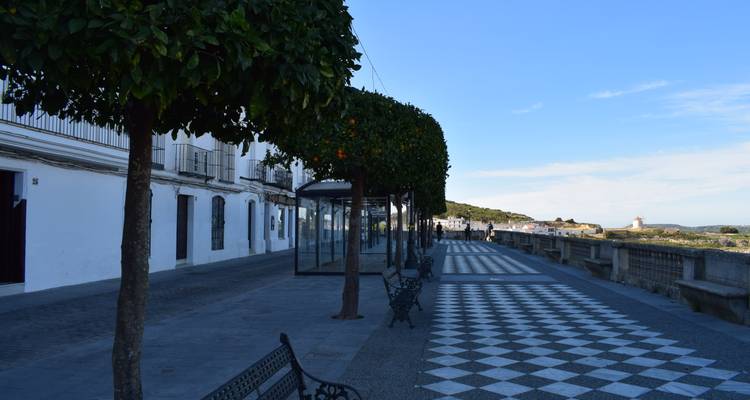 Promenade pavée aux carreaux de motif damier et aux arbres taillés dominant la campagne vallonnée