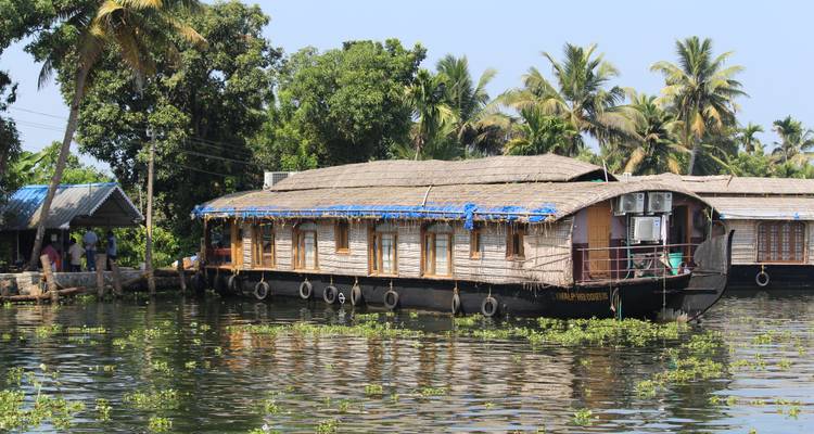 Traditionelles Hausboot aus Kerala, das auf ruhigen Backwaters ankert und von Kokospalmen umgeben ist.
