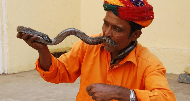 traditionele slangenbetovenaar met een kleurrijke tulband die een slang tegen zijn lippen houdt