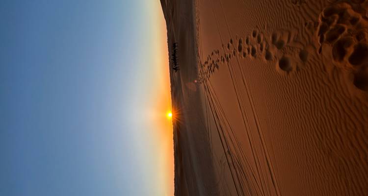 Le soleil se lève sur de vastes dunes de sable avec des silhouettes de caravanes de chameaux à l'horizon.