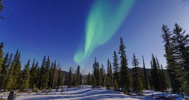 Un ruban d'aurore verte s'arque au-dessus d'une clairière enneigée entourée d'une forêt de conifères sous un ciel étoilé cristallin.