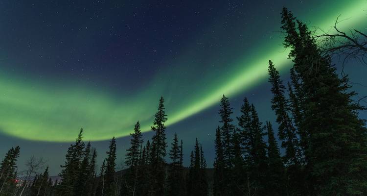 Long arc lumineux et verdoyant d'aurore boréale s'étendant à travers un ciel rempli d'étoiles au-dessus d'une sombre forêt de conifères.
