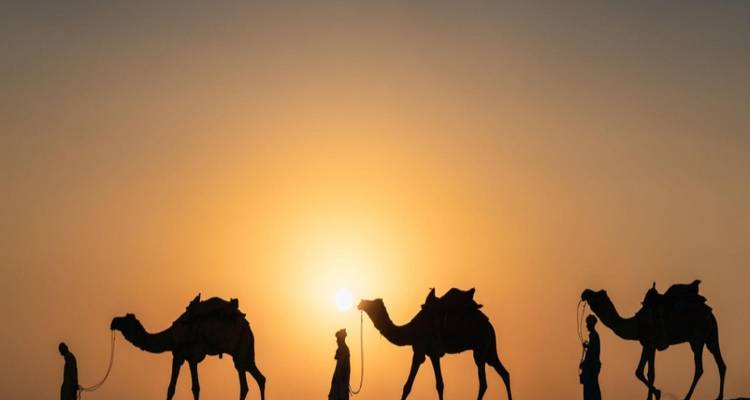 Caravane de chameaux en silhouette traversant les dunes du Sahara face à un coucher de soleil spectaculaire