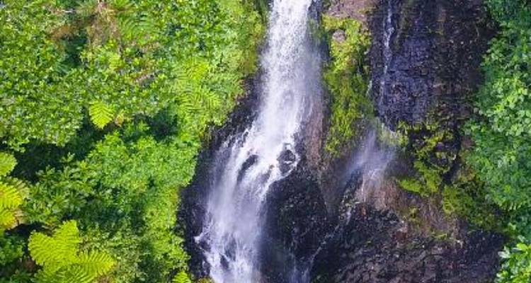Hoher Dschungelwasserfall, der über dunkle Felsen herabstürzt und von üppigem grünem Laub umgeben ist