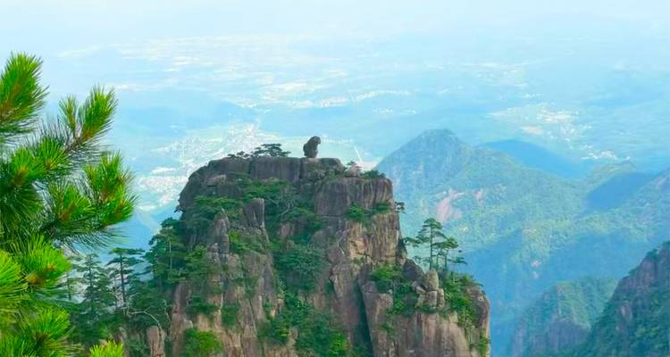 Pic montagneux verdoyant connu sous le nom de « Singe regardant la mer » dominant une vallée brumeuse à Huangshan.