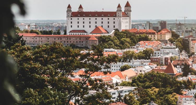 Vue lointaine du château de Bratislava et des toits rouges encadrés par les branches des arbres en été.