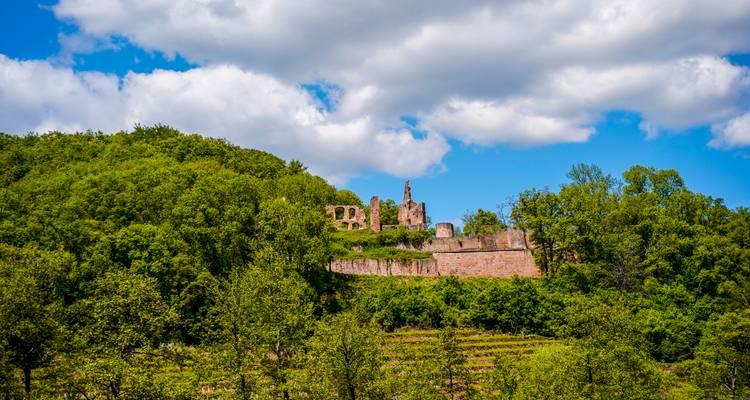Castillo en ruinas de piedra roja en la cima de una colina rodeado de bosque denso bajo un cielo azul con nubes.