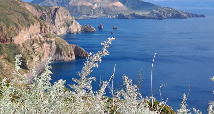 Rocky coastline and sea stacks with turquoise waters viewed through coastal plants