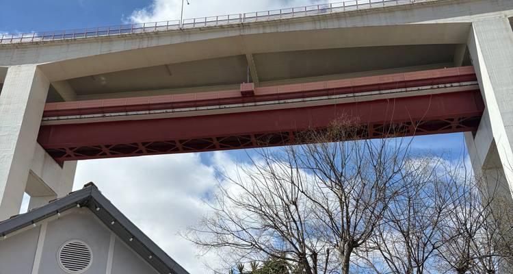 Vista mirando hacia arriba en la estructura de hormigón y acero rojo del Puente 25 de Abril con ramas desnudas abajo.