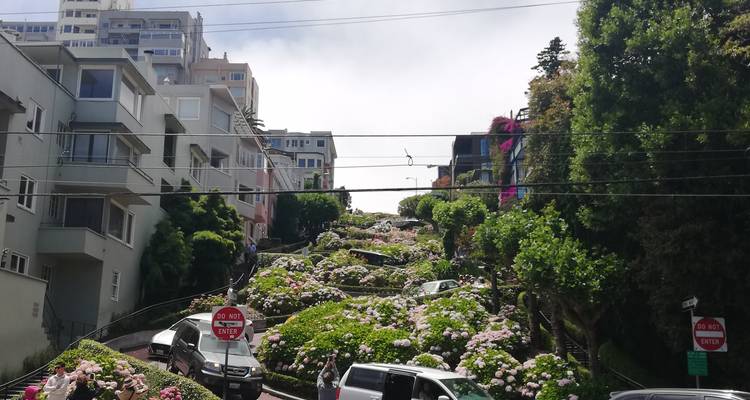 Rue en lacets décorée de fleurs, bordée d'hortensias et de voitures qui descendent