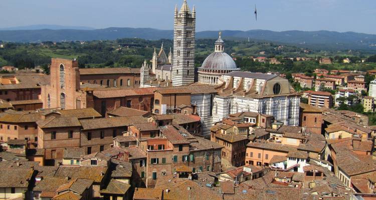 Skyline élevée de Sienne avec cathédrale, clochers et toits en terre cuite sur fond de collines verdoyantes