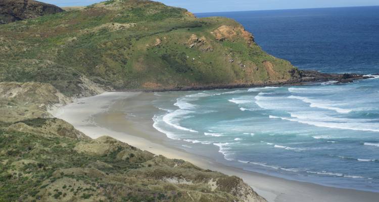 Une plage en croissant isolée bordée par des falaises verdoyantes et des vagues déferlantes.