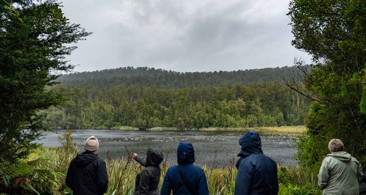 Reizigers in regenjassen scannen een mistig meer omzoomd door dicht regenwoud terwijl vogels over het wateroppervlak glijden.