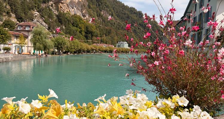 Rivière ou canal turquoise bordés de fleurs colorées et bâtiments de village alpin avec chaîne de montagnes boisée en arrière-plan