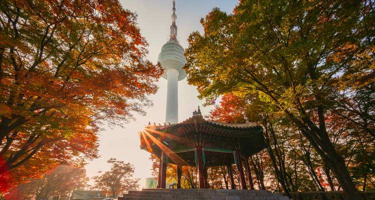 Les rayons de soleil brillent derrière la Tour de Séoul qui s'élève au-dessus d'un pavillon en bois traditionnel encadré par des feuilles d'automne colorées.