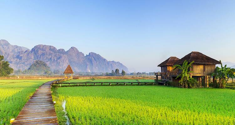 A wooden boardwalk leads through bright green rice fields toward rustic huts and distant karst peaks.