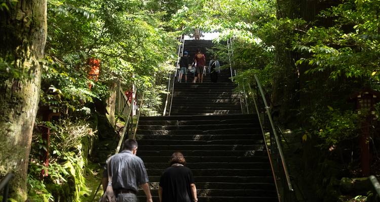 Les visiteurs montent un long escalier en pierre à travers une forêt verte dense en direction d'un sanctuaire.