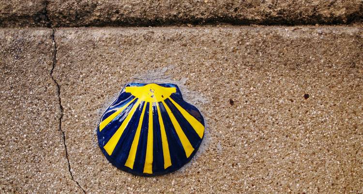 Coquille Saint-Jacques jaune et bleue, marqueur du Chemin fixé à un mur de pierre