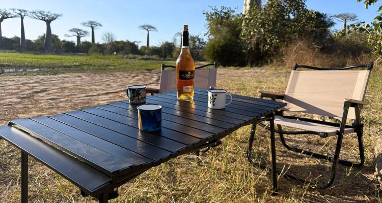 Table de camping avec des tasses et un assortiment de vin devant un décor d'arbres baobabs au crépuscule