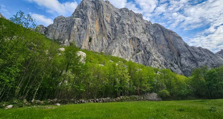 Des falaises calcaires grises imposantes s'élèvent au-dessus d'une forêt verte luxuriante et d'une prairie herbeuse sous un ciel bleu partiellement nuageux.