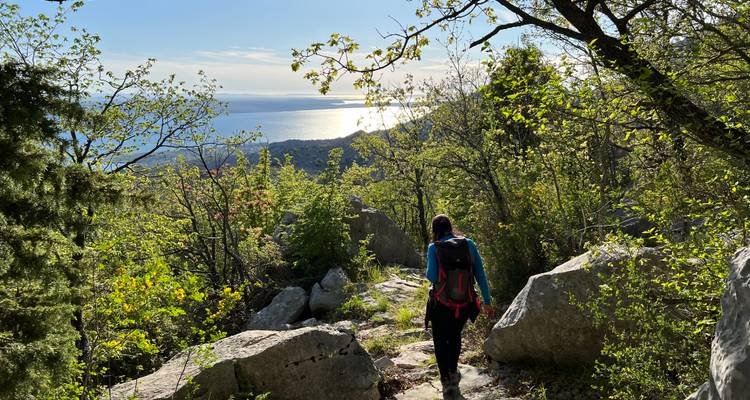 Un randonneur avec un sac à dos marche le long d'un sentier rocheux en forêt avec vue sur la mer scintillante à la lumière de fin d'après-midi.