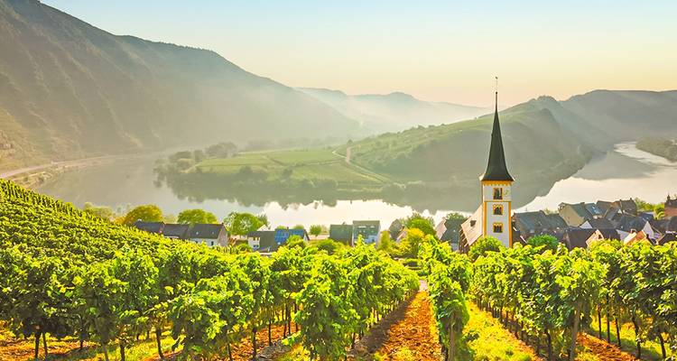 Sonnenaufgang über den Weinbergen des Moseltals mit einer Kirchturmspitze und einem Fluss, der weiches Licht widerspiegelt.
