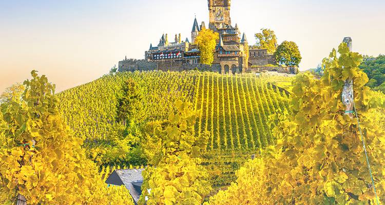 Goldene Weinberge bedecken den Hügel unterhalb der Reichsburg, die über Cochem thront.