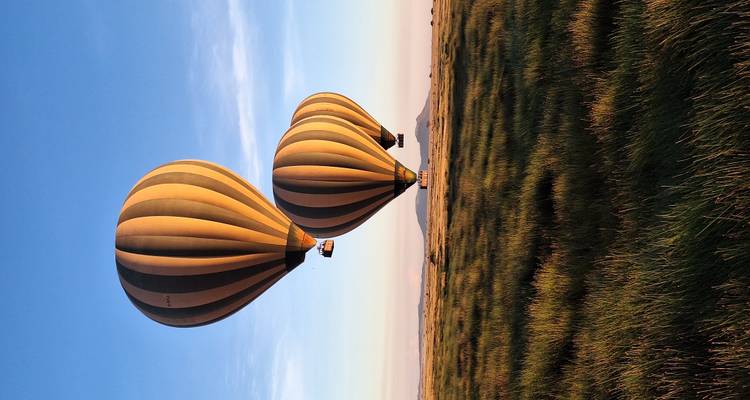 Trois ballons à air chaud flottent au-dessus d'une prairie ouverte sous une lumière dorée et douce.