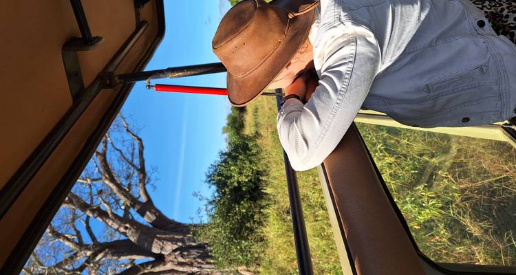 Une personne dans un véhicule de safari contemple un imposant baobab qui s'élève au-dessus de la savane.