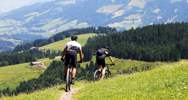 Ciclistas descendiendo por un sendero estrecho y herboso con vistas panorámicas de colinas ondulantes y bosque denso