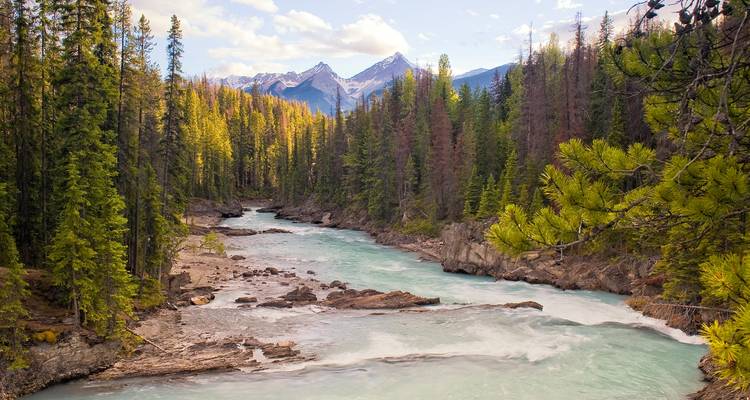 Une rivière turquoise bordée de pins se précipite à travers un canyon rocheux avec des montagnes aux pics enneigés au loin sous une lumière douce.