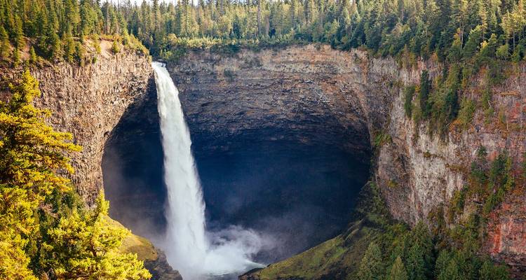 Une puissante chute d'eau se précipite dans un canyon en fer à cheval profond entouré d'une forêt dense de conifères.