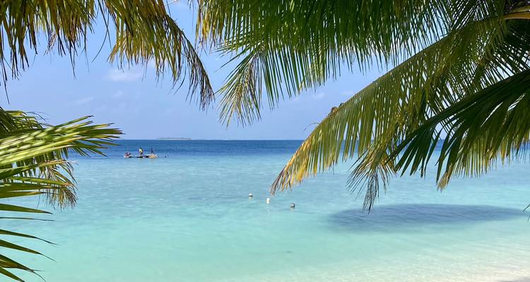 Lagon cristallin encadré par des frondes de palmiers surplombantes avec un bateau lointain et des baigneurs dans une eau turquoise.