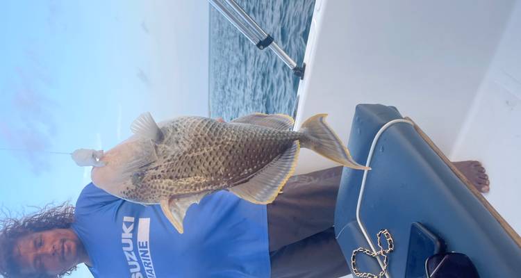 Un pêcheur à bord d'un petit bateau présente un poisson-coffre de taille considérable suspendu à la ligne.